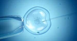 Chances of success with IVF