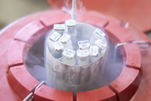 Why Egg Vitrification is a Good Choice for Women