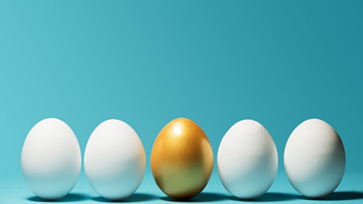 How Donor Egg Help Achieve Pregnancy