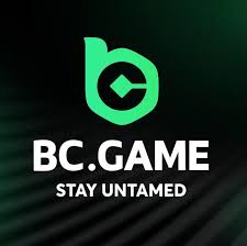 Unlock the World of Gaming with BC.Game DE Mobile App